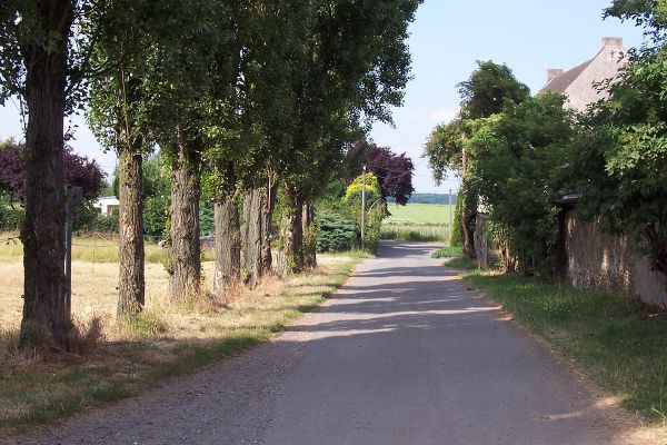 Fotogalerie vom Scheidterhof