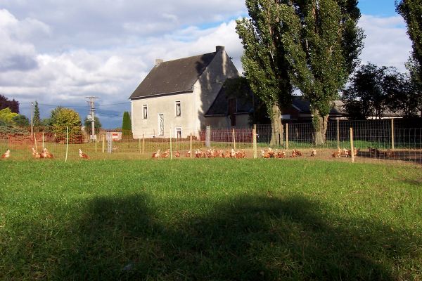 Fotogalerie vom Scheidterhof