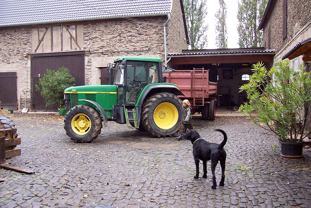 Mitarbeit auf dem Bauernhof Mitarbeit auf dem Bauernhof